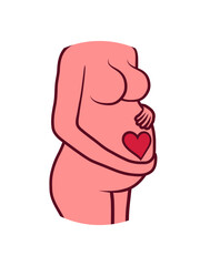 Bauch Herz Schwangere Frau 