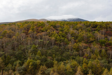 紅葉した初冬の浅間山　登山　ハイキング　秋