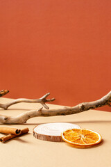 Round wooden log natural bark podium, tree branch, cinnamon, orange. Natural organic cosmetics product showcase stand.