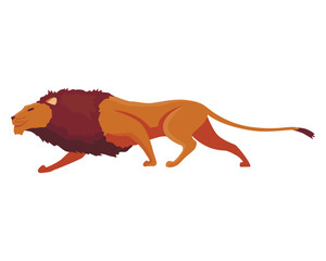Proud powerful lion character. King of animal. Cartoon cute wild cat is running. Isolated vector Illustrations on a white background