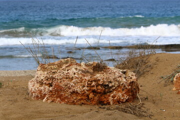 Stones and shells in a city park on the Mediterranean coast.