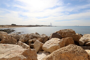 Obraz premium Stones and shells in a city park on the Mediterranean coast.