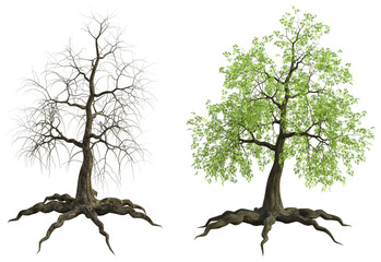 Tree and dead tree isolated 3d render
