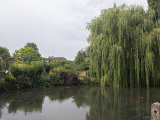 A pond in the village of Wilton, Wiltshire