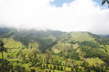 Obraz premium Valle del Cocora 