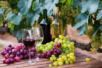 Fototapeta premium Bottles and glasses with red and white wine and grapes on the table