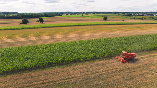 Human impact on the environment. Farmland and drought. Red combine harvester working on a field. Aerial drone perspective. High quality photo