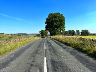 Looking along the, Old Road, with wild plants, dry stone walls, and distant hills, on a summers day in, Clapham, UK