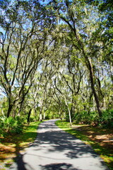 Fototapeta premium Landscape of Hillsborough river at Lettuce lake park