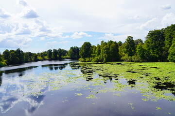Naklejka na ściany i meble Landscape of Hillsborough river at Lettuce lake park