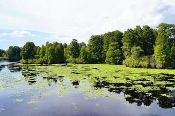 Obraz na płótnie Canvas Landscape of Hillsborough river at Lettuce lake park