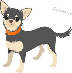 チワワ_ブラックタン_ベクターイラスト
