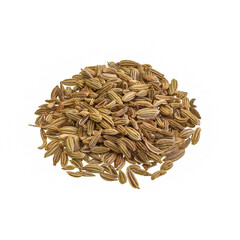 Fennel Seeds