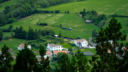 Faial Pico Açores, ilha, campo, mar oceano