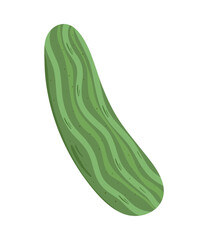 fresh cucumber vegetable