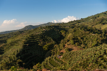Crop fields in a mountain range of the Colombian countryside.