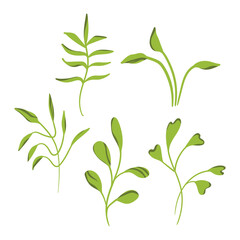 Artistic floral minimalist set. Isolated branch black silhouette. Modern shapes with leaves. Vector illustration