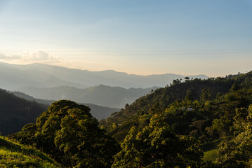 Mountain ranges with forest in the light of dawn in a landscape of Colombia.