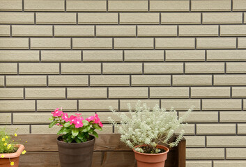 植物と壁の背景素材