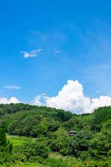 日本の田舎の夏風景