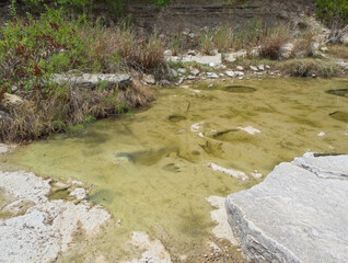 Ankylosaurs dinosaur footprints in the water in Texas