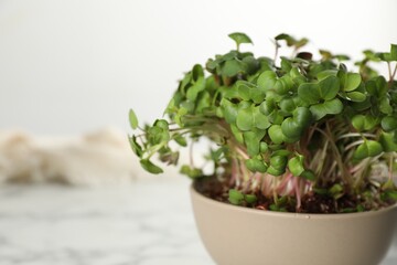 Fresh radish microgreens in bowl on table, closeup. Space for text