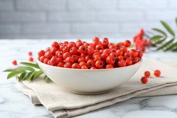 Fresh ripe rowan berries in bowl on white marble table