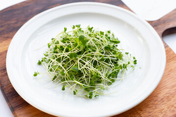 Organic kale sprouts. Healthiest vegetables concept