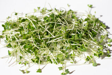 Organic kale sprouts on white background.