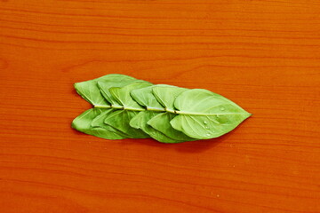 indian gujarati vegetable food leaves colocassia leaves also known as patra,arbi leaves or taro leaves top view with water drops,top view