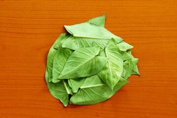 indian gujarati vegetable food leaves colocassia leaves also known as patra,arbi leaves or taro leaves top view with water drops,top view