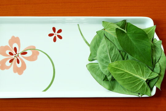 indian gujarati vegetable food leaves colocassia leaves also known as patra,arbi leaves or taro leaves top view with water drops,top view