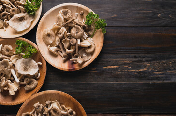 Fresh edible mushroom in natural plate on wooden background, Organic food ingredients in seasonal, Table top view