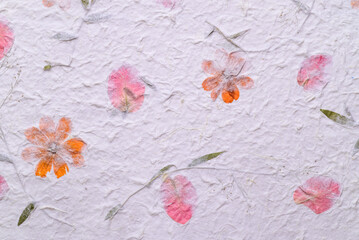 Mulberry paper sheet decorated with dry flower and leaf texture background