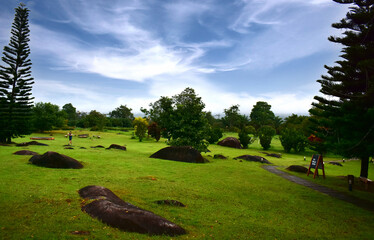 Scenery of trees, forests and mountains.