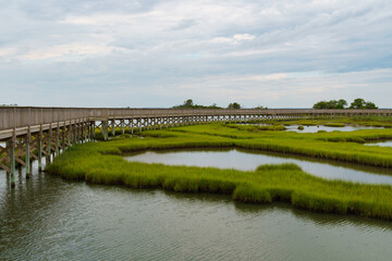 Elevated boardwalk curves around far into the distance in Assateague