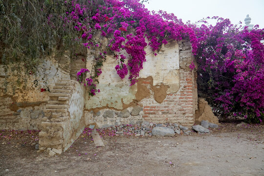 Santo Domingo de Chincha, called Chincha Alta to distinguish it from Chincha Baja, is a Peruvian city, capital of the homonymous district and at the same time of the province of Chincha located in Ica