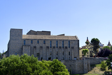 Fototapeta na wymiar Pamplona - Royal Palace