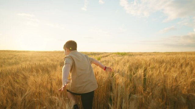happy teen boy is running on golden rye field, rear view, slow motion, joyful and carefree childhood