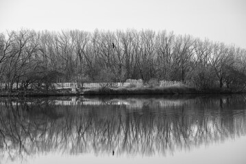 reflection in water