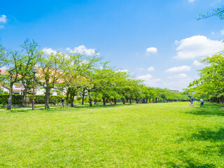 新緑の公園