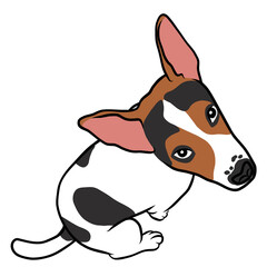 Fototapeta na wymiar Jack Russell puppy dog portrait cartoon 