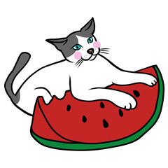 Cat and watermelon cartoon