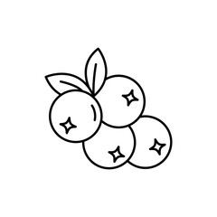 Blueberry line art icon design template vector illustration