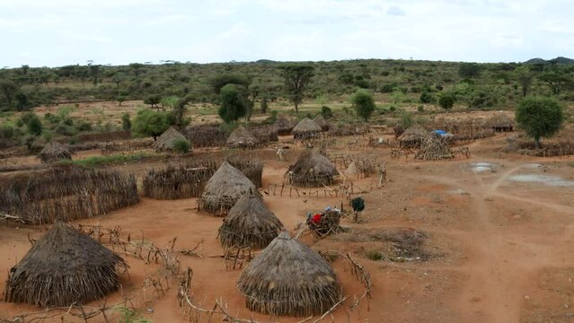 Fly Over Fenced And Thatched Roof Houses In Hamar Tribe Village In Omo Valley, Southern Ethiopia. Aerial Drone Shot