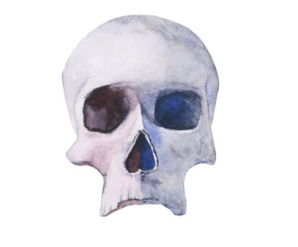 watercolor painting hand drawn skull abstract png.	