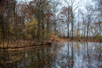 Fototapeta na wymiar pond in autumn
