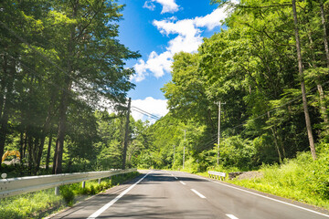道路　ドライブ　山　自然　森　山道
