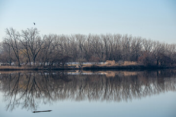 lake in the morning
