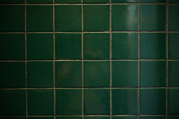 dark green wall bathroom, interior design